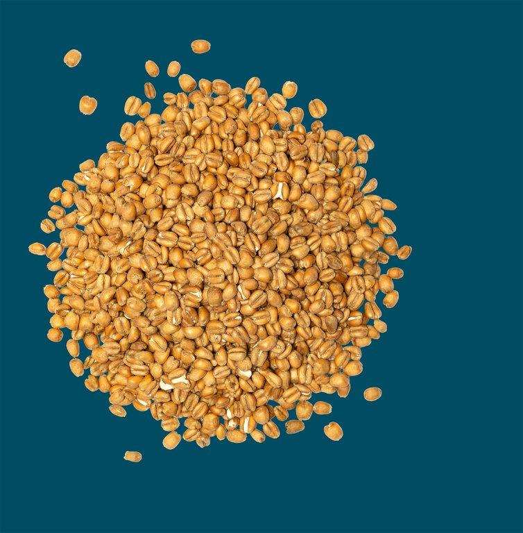 Crisp - Torrefied Wheat - 25kg Bag Unmilled