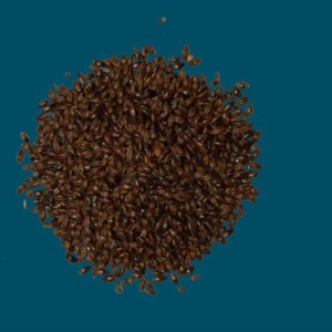Crisp - Chocolate Malt - 25kg Bag Unmilled