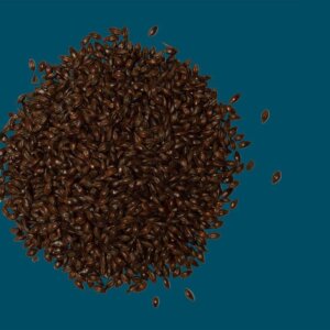 Crisp - Roasted Barley - 25kg Bag Unmilled