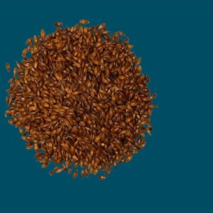 Crisp - Low Colour Chocolate Malt - per kg