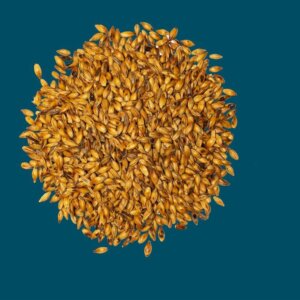 Crisp - Crystal 100 Malt - 25kg Bag Unmilled