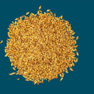 Crisp - Cara Gold Malt - per kg