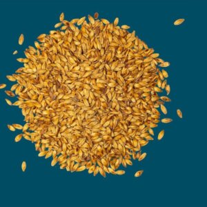 Crisp - Cara Malt - per kg
