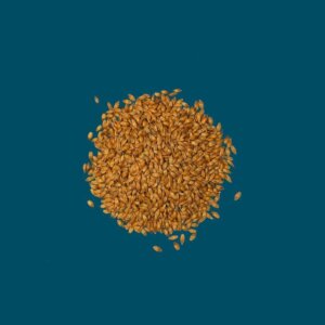 Crisp - Brown Malt - 25kg Bag Unmilled