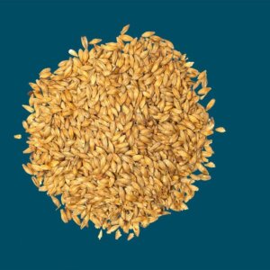 Crisp - Light Munich Malt - per kg