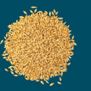 Crisp - Extra Pale Malt - per kg
