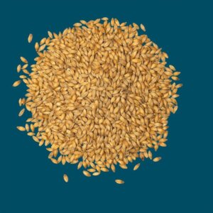 Crisp - Finest Maris Otter Ale Malt - 25kg Bag Unmilled
