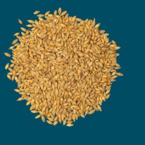 Crisp - Dextrin Malt - 25kg Bag Unmilled