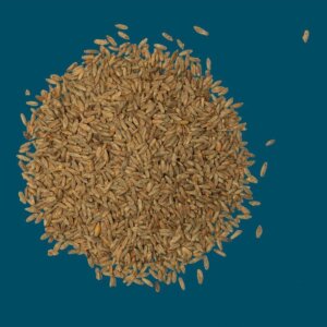 Crisp - Rye Malt - per kg