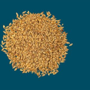 Crisp - Dark Munich Malt - per kg