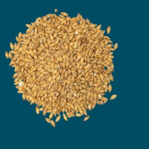 Crisp - Lager Malt - 25kg Bag Unmilled