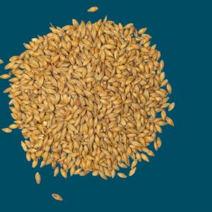 Crisp - Amber Malt - 25kg Bag Unmilled