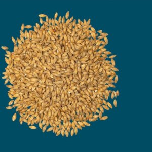 Crisp - Tivoli German Pilsen Malt - 25kg Bag Unmilled