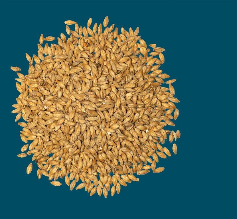 Crisp - Tivoli German Pilsen Malt - 25kg Bag Unmilled