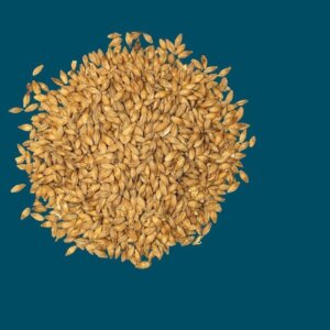 Crisp - Clear Choice Malt Pale - per kg