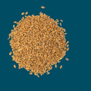 Crisp - Wheat Malt - 25kg Bag Unmilled