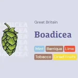 Boadicea Hop Pellets (T90) - 50g | UK