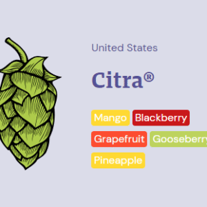 www.cactuscraft.co.za~13932
