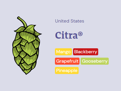 www.cactuscraft.co.za~13932