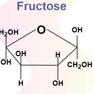 Fructose - Per Kg
