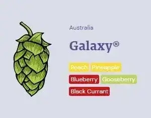 Galaxy Hop Pellets (T90) - 50g | Australia