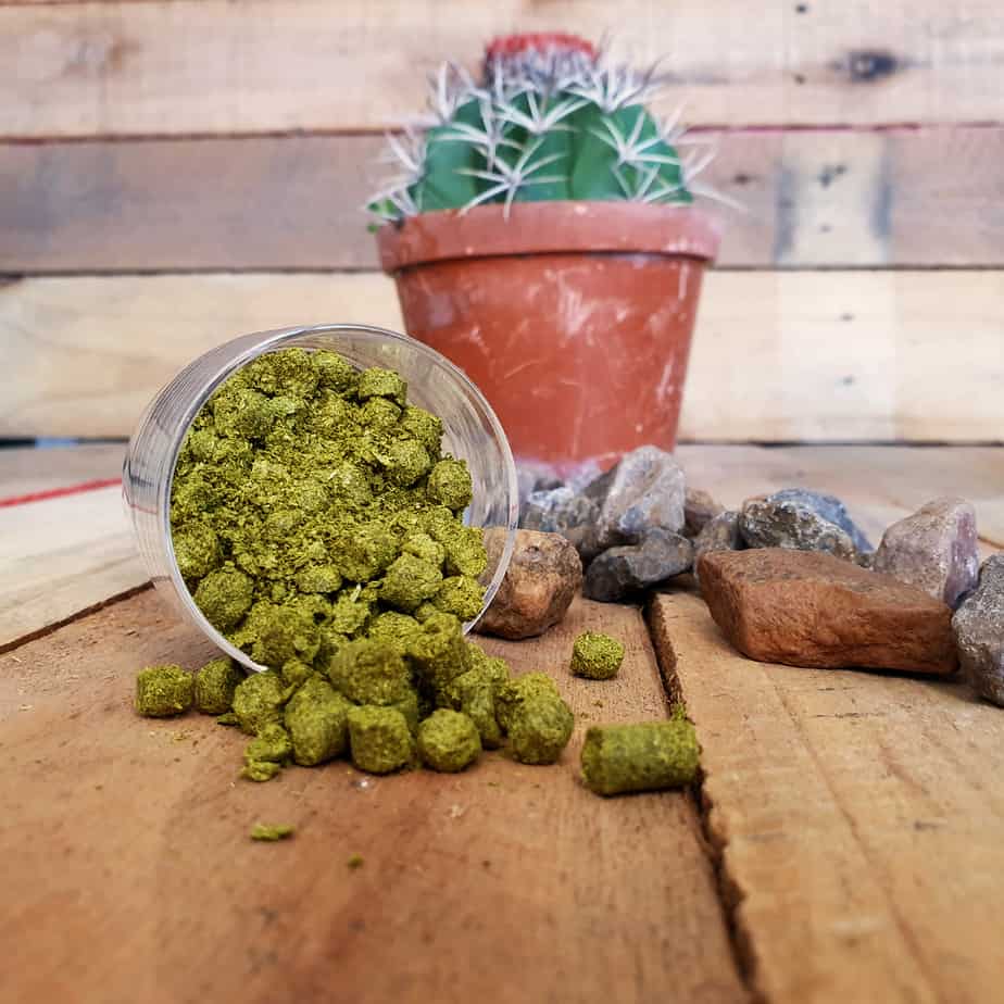 USA Hops