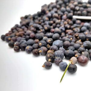 Juniper Berries