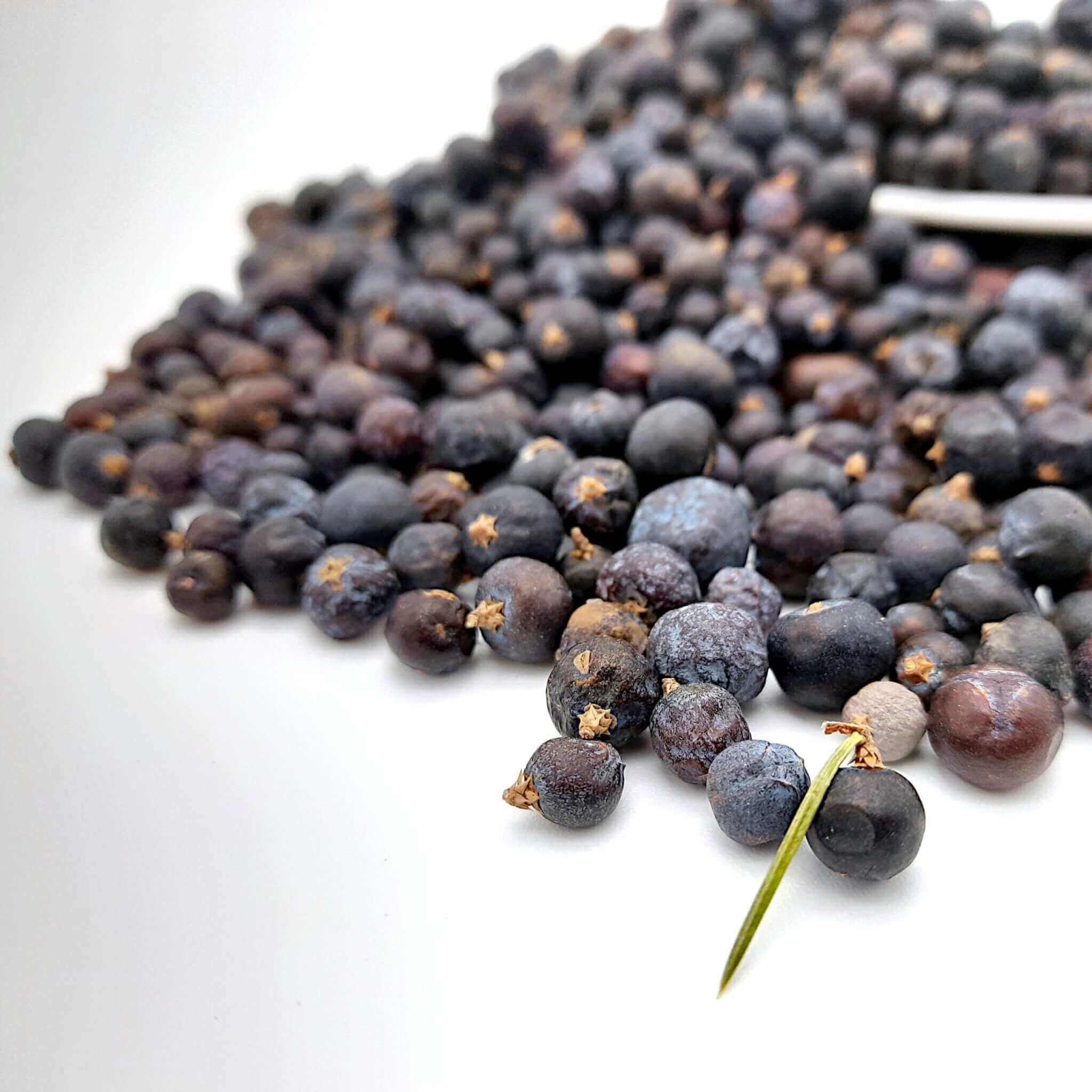 Juniper Berries