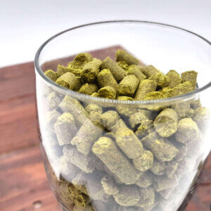 Kazbek Hop Pellets (T90) - 50g | Czech Republic