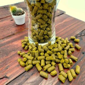Columbus Hop Pellets (T90) - 50g | USA