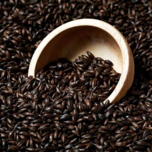 Black Swaen Barley – 25kg Bag Unmilled