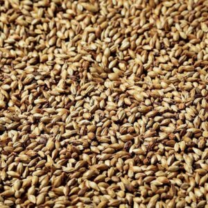 BlackSwaen© Biscuit – per kg