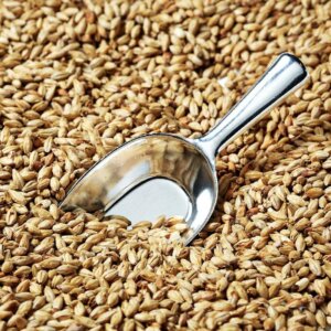 GoldSwaen© Munich Light – per kg
