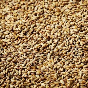 Swaen - Lager Malt – 25kg Bag Unmilled