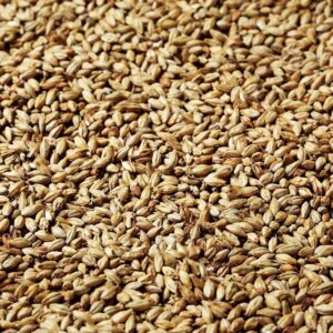 Swaen - Munich Light – 25kg Bag Unmilled