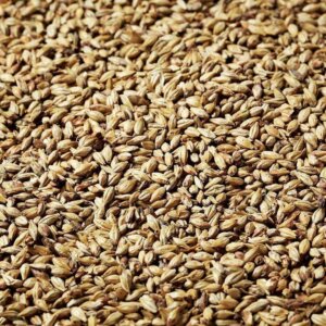 Swaen - Pilsner – per kg