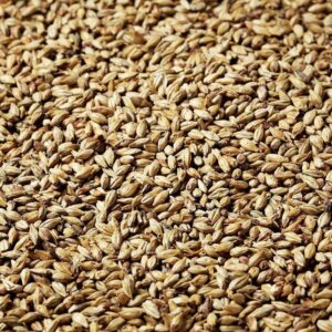 Swaen - Pilsner Malt – 25kg Bag Unmilled